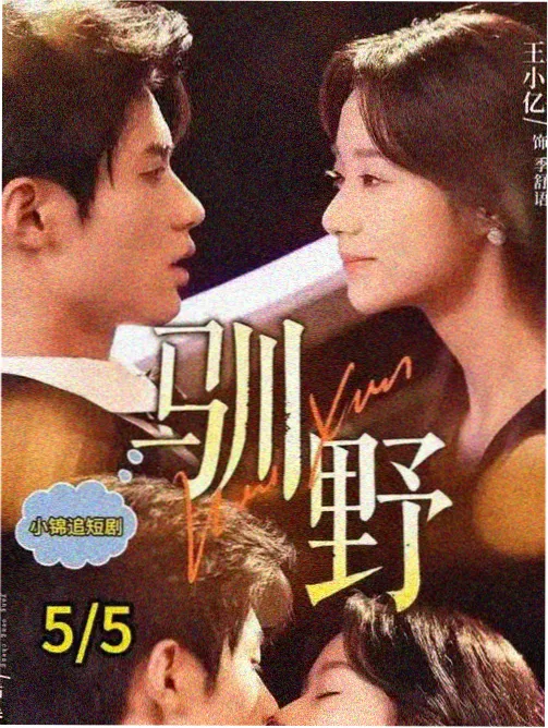 高清不卡免费视频剧集十三号棋局
